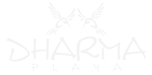 Dharma Playa Logo